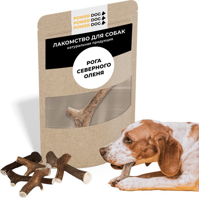 Лакомство для собак из натуральной продукции